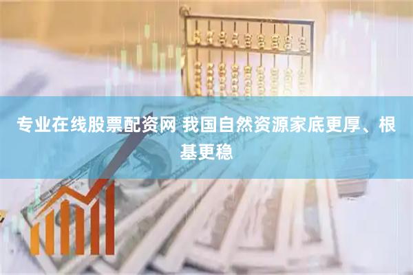 专业在线股票配资网 我国自然资源家底更厚、根基更稳